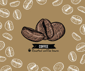  Coffee beans background by Hand drawn with line-art.