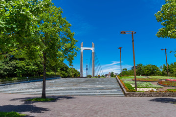 木場公園の風景 吊り橋と階段