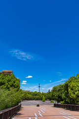 木場公園の風景