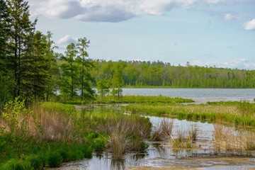 Tranquil scene at Lake Itasca in Minnesota