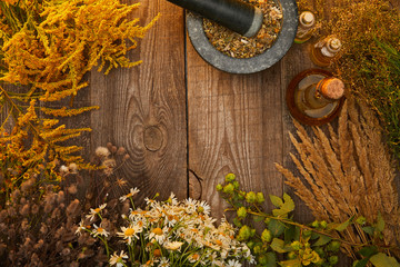 top view of mortar with pestle and bottles near wildflowers and herbs on wooden surface with copy space