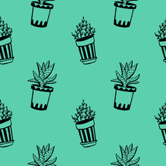 Set of different hand drawn house plants in pots. Isolated decorative plants: aloe, crassula, flower for design template, icon, gift card. Sketch style vector illustration.