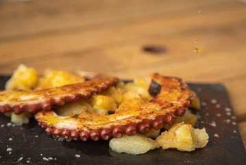 Octopus with paprika, potatoes and olive oil is a typical tapa from Galicia, Spain