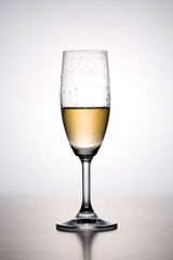 Champagne on white background