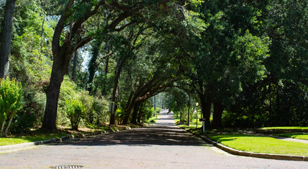 Along the brick road