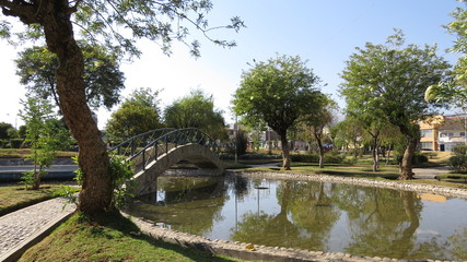 lago en medio del parque