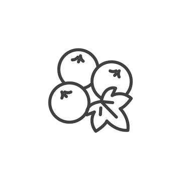 recommend clip art: Blueberries with leaves line icon. linear style sign for mobile concept and web design. Blueberries fruit outline vector icon. Symbol, logo illustration. Vector graphics