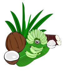 Green bananas (Thai name Nam Wa), coconut milk, sugar, and sugar cane, pandan leaves, ingredients of Thai desserts, organic food and vegetarian food, illustration, hand drawing