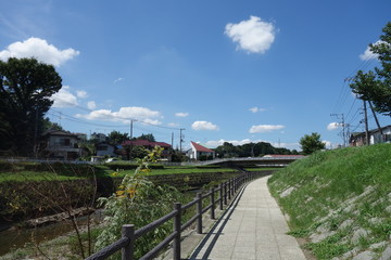 晴れた日の日本の川沿いの道