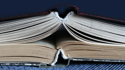 Naklejka premium Two open books on the blue sofa
