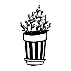 Set of different hand drawn house plants in pots. Isolated decorative plants: aloe, crassula, flower for design template, icon, gift card. Sketch style vector illustration.