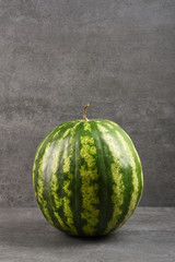 A whole watermelon on gray stone texture