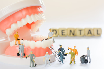 Miniature people, small model human figure clean model teeth with copy space. Medical and dental concept. Team work on dental care.