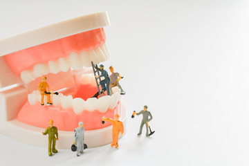 Miniature people, small model human figure clean model teeth with copy space. Medical and dental...