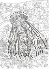 High detailed jellyfish for coloring