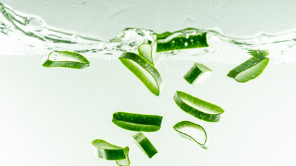 Aloe vera in water on white background