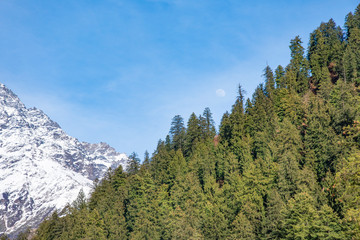 snow and green mountains with moon at blue sky