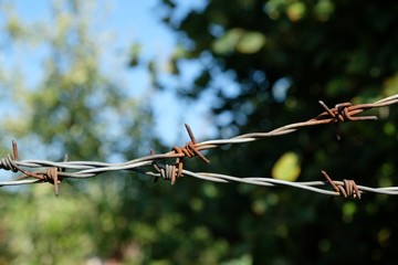 Crossed barbed wire against a green garden and blue sky.