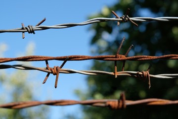 Barbed wire fence against a green garden and blue sky.
