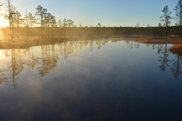 Obraz na płótnie Canvas Beautiful early morning scenery in the wetlands