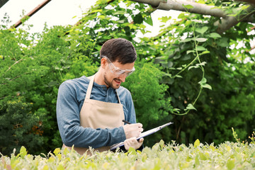 Male agricultural engineer working in greenhouse