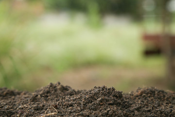 Soil texture with green background for template design