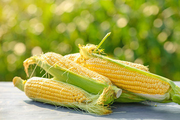 Ripe fresh corn cobs on table outdoors