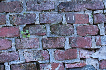 Old brick wall background in Prague. Background of old vintage dirty brick wall with peeling plaster, texture.