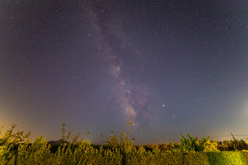 he Milky Way over a green bushes line, shot in september. Stars background or wallpaper.
