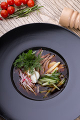 Traditional russian summer cold soup