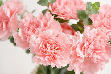 Bouquet of beautiful carnation flowers, closeup - obrazy, fototapety, plakaty