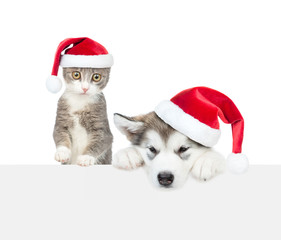 Cat and dog with red christmas hats above white banner. Empty space for text. Isolated on white background