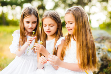 Three girls in white dresses walk in nature in the summer. Children's pastime during the summer holidays.