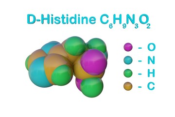Structural chemical formula and molecular model of d-histidine, an optically active form of histidine havind D-configuration. Medical background. Scientific background. 3d illustration