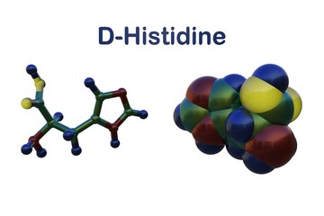 Molecular structure of d-histidine, an optically active form of histidine havind D-configuration. It is used in the biosynthesis of proteins. Scientific background. 3d illustration