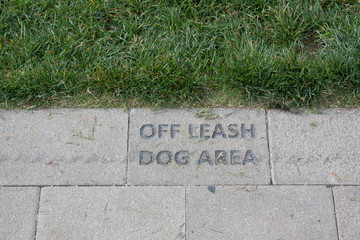 Off Lease Dog Area