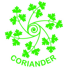 コリアンダー