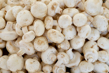 organic and fresh mushrooms in the market