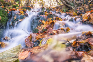 beautiful cascade waterfall in autumn forest, silky smooth stream