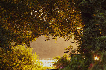 Goldener Herbst an einem See mit leuchtenden Blättern