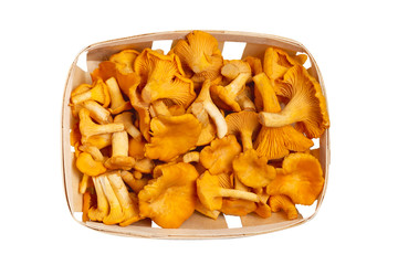 Group of edible forest chanterelle mushrooms in a wooden box of veneer isolated on white background, top view © Галина Сандалова