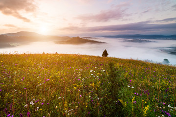 Misty dawn in the mountains. Beautiful Autumn Landscape