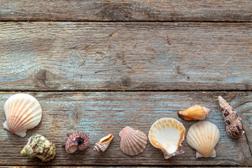 Fototapeta na wymiar Summer Shells Blue Wood Background,free space. Sea shore vacation concept.
