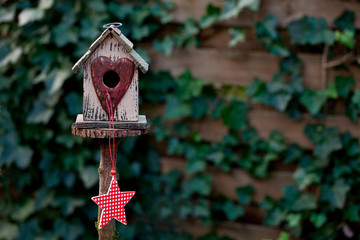 Cute Birdhouse With Star Across Ivy Wall