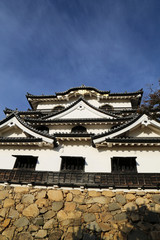 Fototapeta premium 晩秋の彦根城