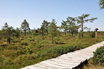 Das schwarze Moor bei Poppenhausen