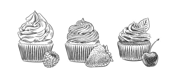 sweet bakery cupcake hand drawn set