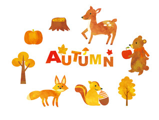 秋と可愛い動物たち