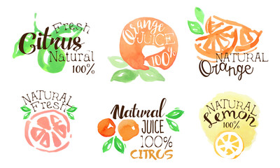 Fresh Natural Citrus Juice Labels Set, Orange, Lemon Juice Badges Hand Drawn Watercolor Vector Illustration