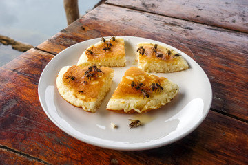 Wasps on a pancake, Thailand